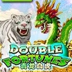 Double Fortune game cover